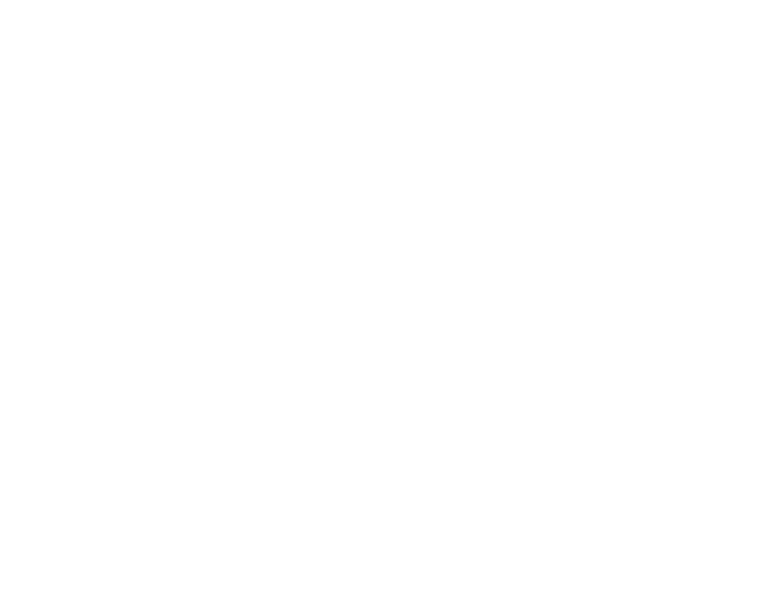 VKIS Logo